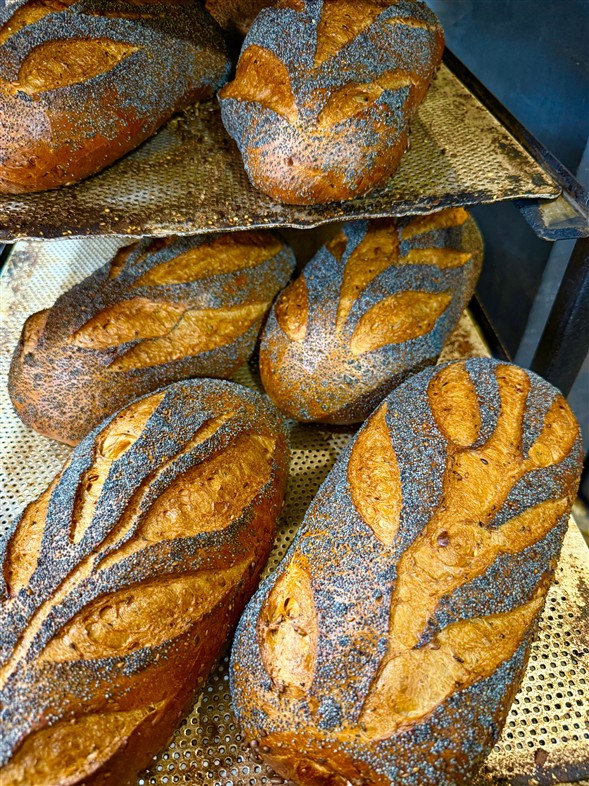 Skagensbrød