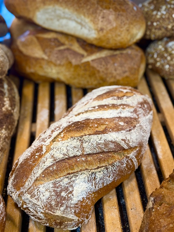 Ciabattabrød